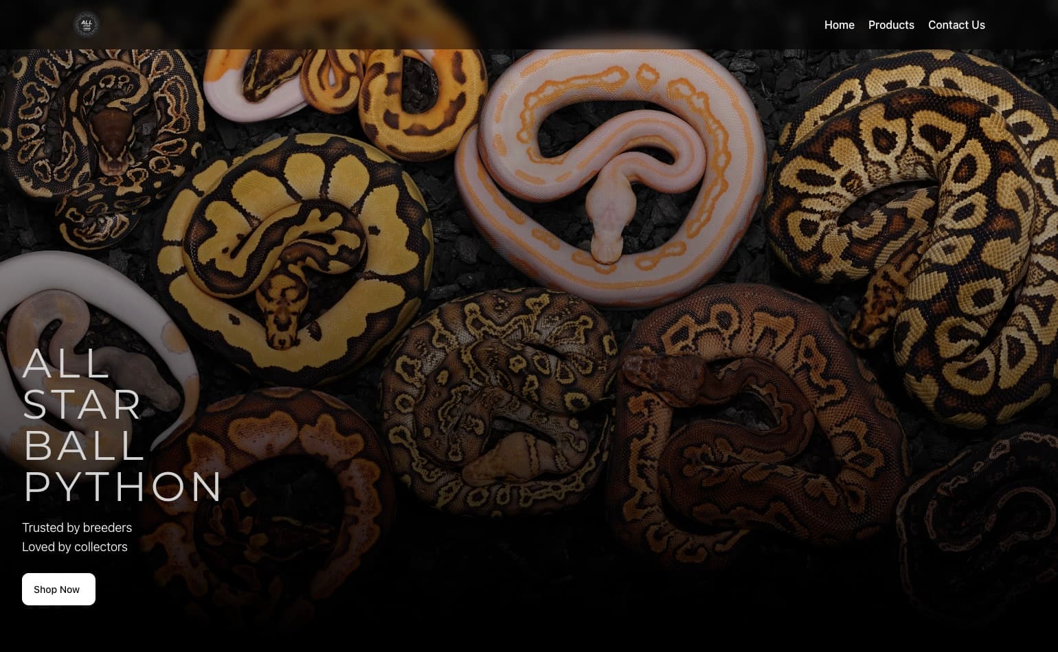 แพลตฟอร์ม All Ball Star